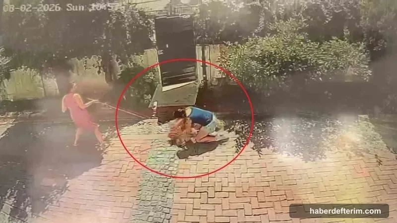 Samsun pitbull saldırısında çocuk ve poodle yaralandı