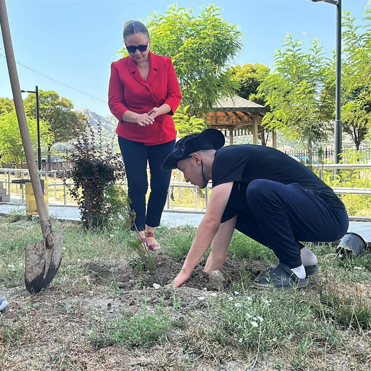 Burdur’da fidan dikme cezası: Konut ihlaline alternatif yaptırım